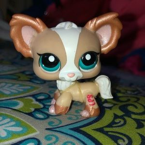 Littlest pet shop Chihuahua LPS #1082